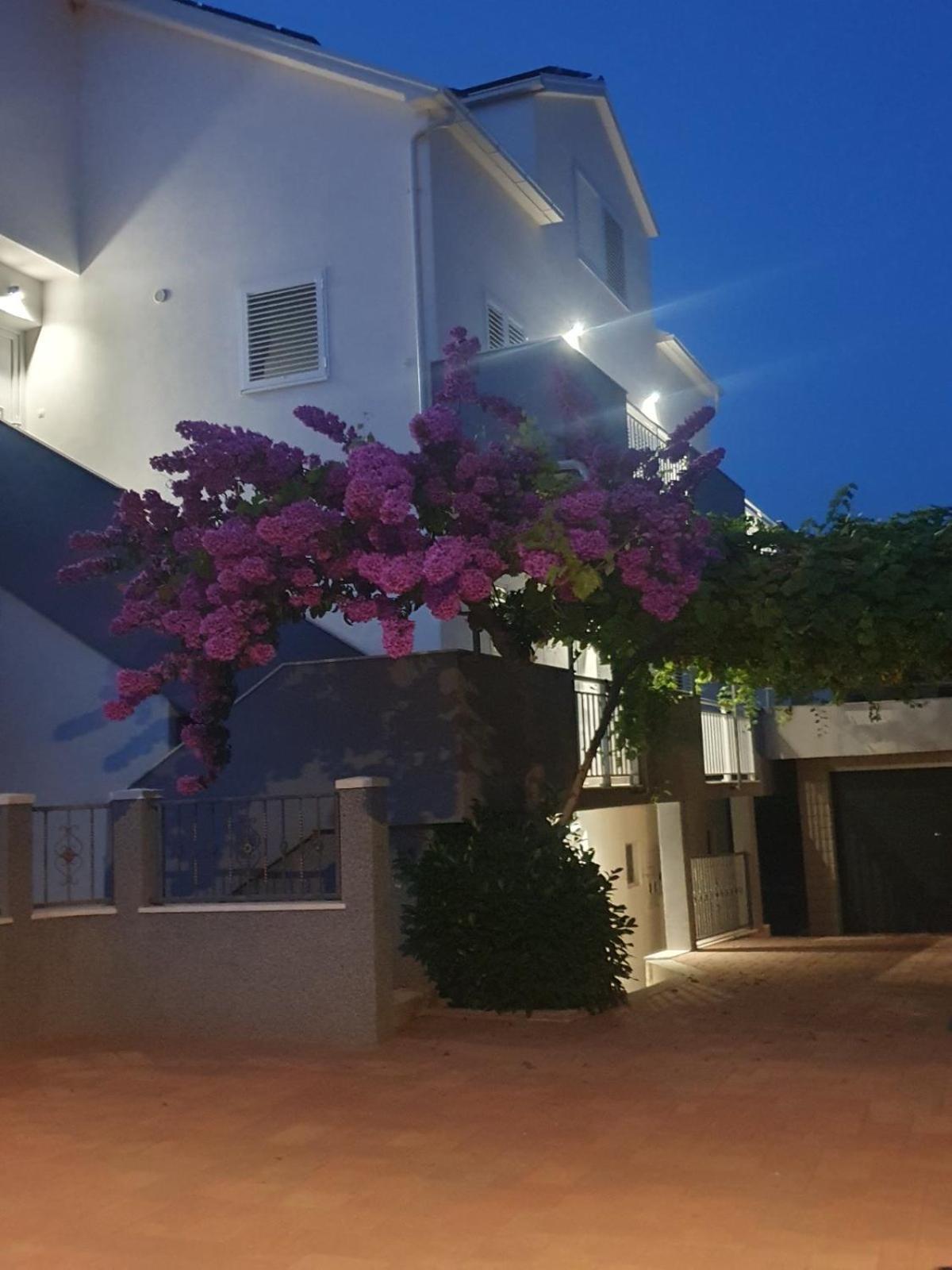 Apartment Bozovic Orebić Esterno foto